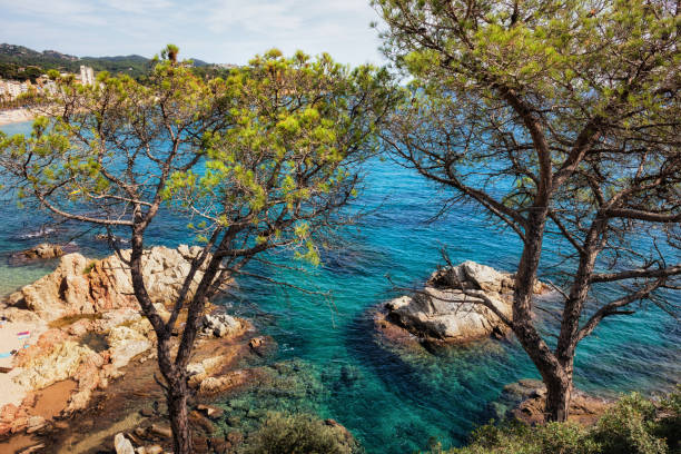 istock Costa Brava Sea Coast in Spain 1024638332
