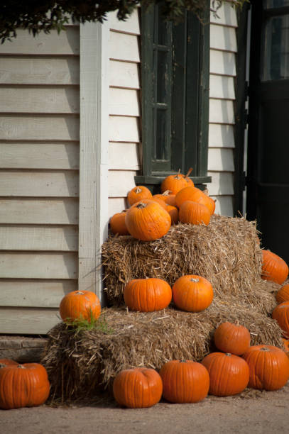istock Celebration Decoration Halloween Holiday 1024641772