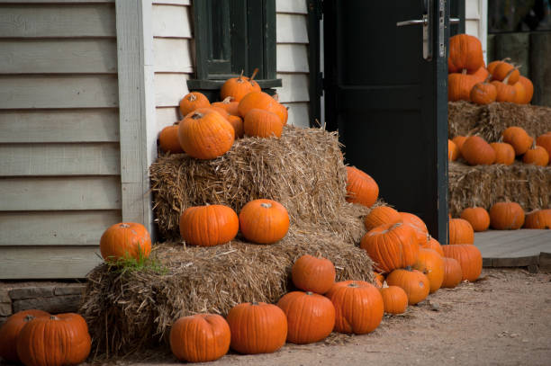 istock Celebration Decoration Halloween Holiday 1024641774