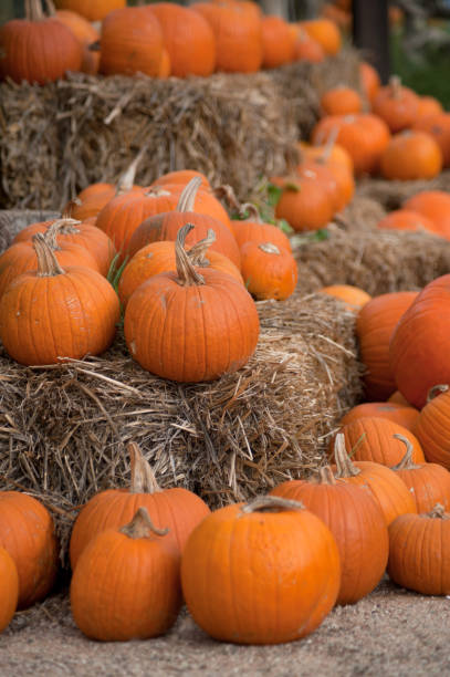 istock Celebration Decoration Halloween Holiday 1024641786