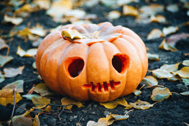 istock Celebration Decoration Halloween Holiday 1024641812