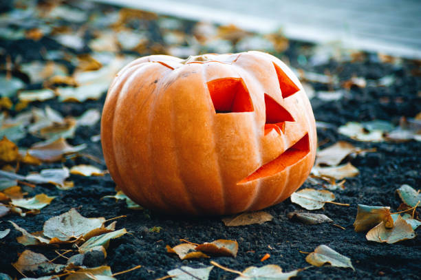 istock Celebration Decoration Halloween Holiday 1024641968