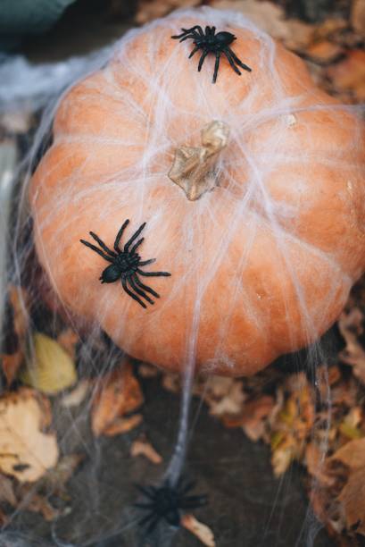 istock Celebration Decoration Halloween Holiday 1024642026