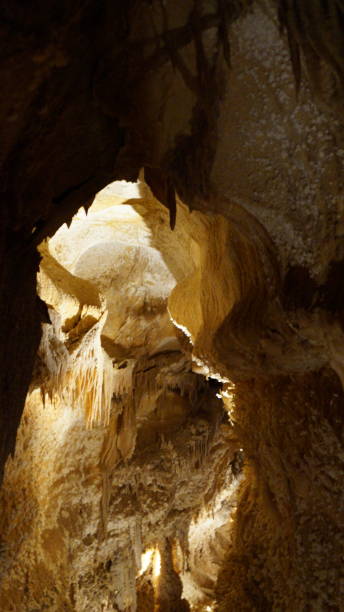 istock scenery from the inside of a cave 1024658096