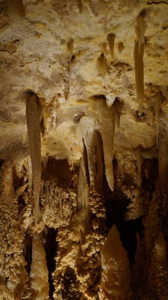 istock scenery from the inside of a cave 1024658172