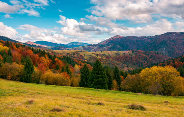 istock beautiful autumn countryside with forested hills 1024669996