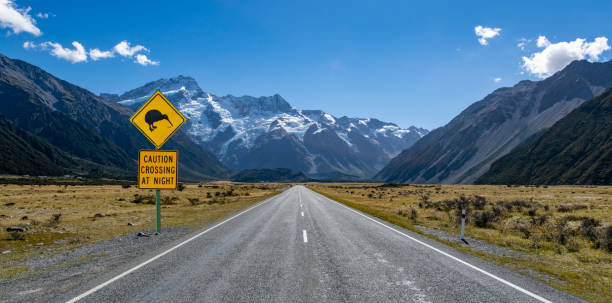 Kiwi bird warning sign on the road to Mt Cook National Park A kiwi bird sign on the road to Mt Cook National Park, south island of New Zealand, seen during a summer day in these southern alps. mt cook photos stock pictures, royalty-free photos & images