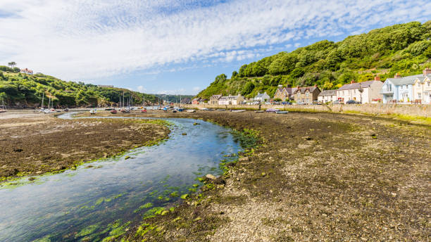 istock Fishguard in Pembrokeshire, Wales, UK 1024696630