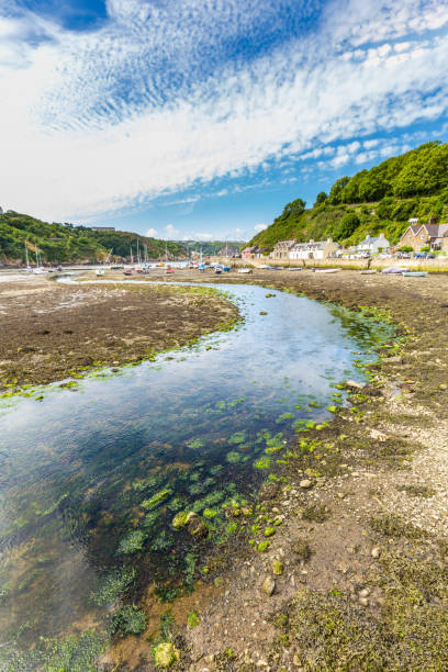 istock Fishguard in Pembrokeshire, Wales, UK 1024696650
