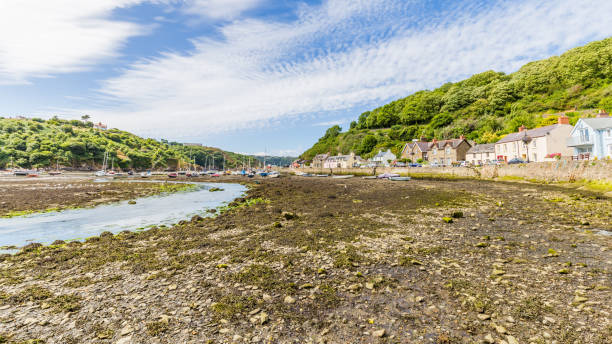istock Fishguard in Pembrokeshire, Wales, UK 1024696668