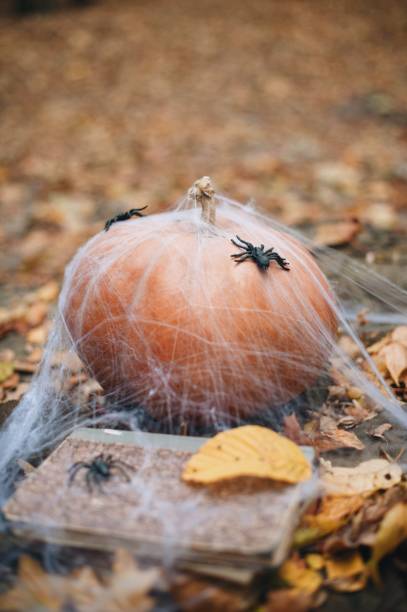 istock Celebration Decoration Halloween Holiday 1024709314