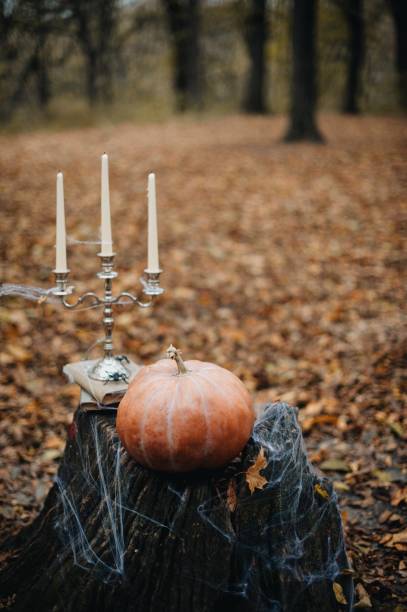 istock Celebration Decoration Halloween Holiday 1024709362