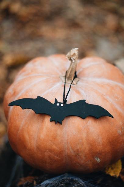 istock Celebration Decoration Halloween Holiday 1024709578