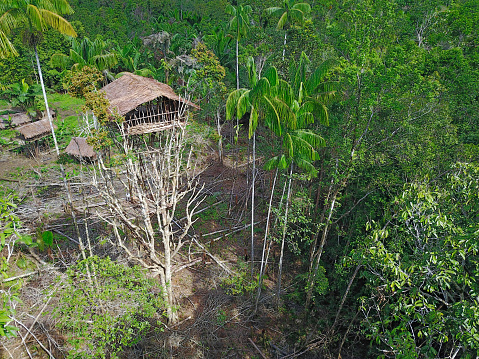Aerial view of a small village of the Korowai people in a clearing in the tropical rainforest of Newguinea. 

The Korowai people (sometimes also called Kolufu) are living at the Indonesian part of the island of Newguinea (West Papua). The Korowai are still living very isolated as hunter-gatherers and are famous for their tree houses. The first contact between Korowai and Westerners is documented only in 1974.
