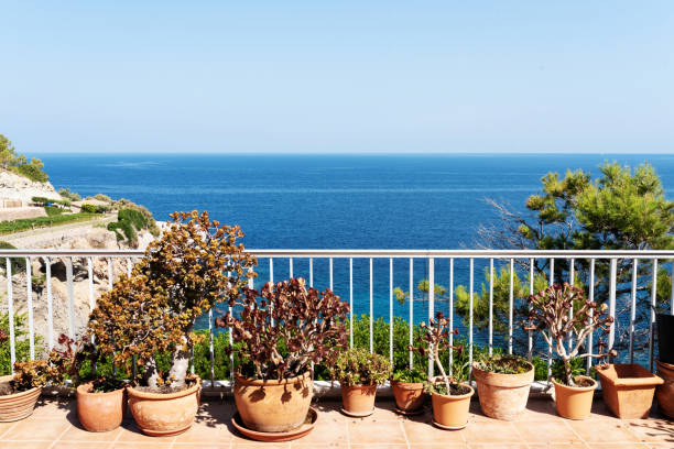 istock pottet plants on patio against blue sea and sky 1024725722