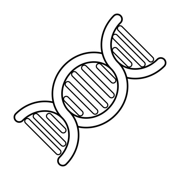 Isolated Dna Drawing 80+ Clip Art Of How To Draw A Dna Strand Illustrations, Royalty-Free ...