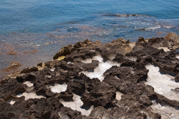 istock Salt cavities in coastal limerock and water 1024743160