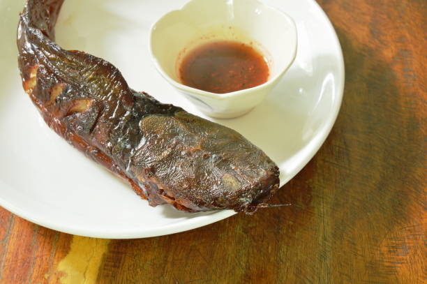 istock grilled catfish dipping with spicy sauce cup 1024760148