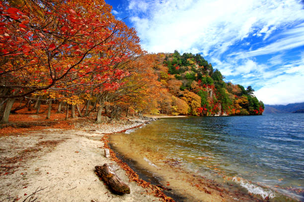 Colorful view of autumn foliage in Shobugahama walking trail at Lake Chuzenji in Nikko, Tochigi prefecture, Japan