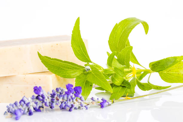 istock Handmade soap bars with lavender flowers 1024771178