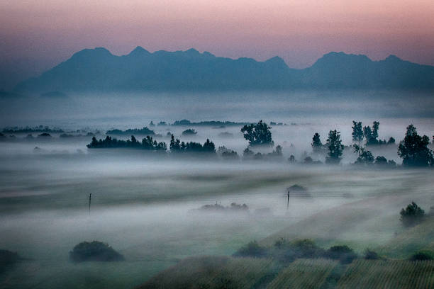 istock Nature wrapped in fog 1024775928