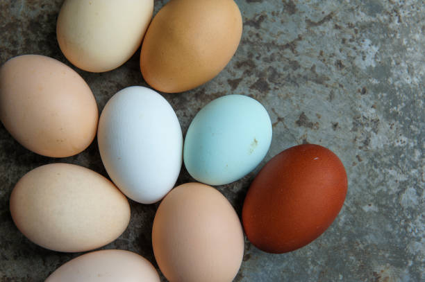 9 free range colourful eggs on a rustic metal tray