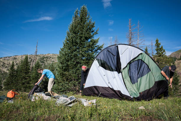 breaking down camp in the wilderness - camping tent offspring 60s imagens e fotografias de stock