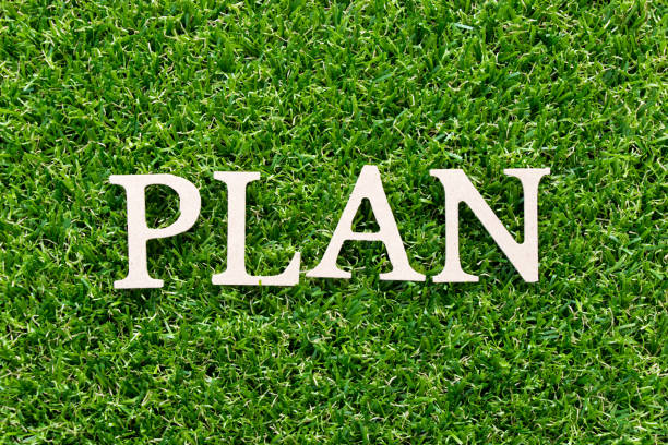 istock Wood alphabet in word plan on artificial green grass background 1024801684