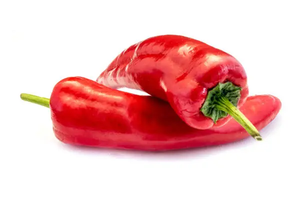 Photo of Two red pointed peppers isolated on white background