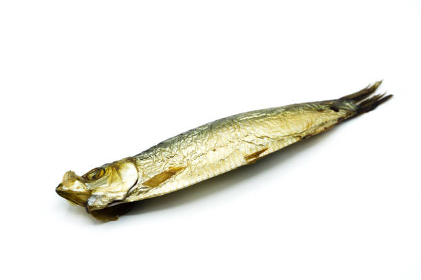 istock smoked sprat fish isolated on white background 1024809956