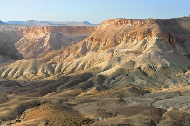 vue fantastique sur ein avdat, vallée de zin. néguev, région désertiques et semi-désertiques du sud d’israël - oasis sand sand dune desert photos et images de collection