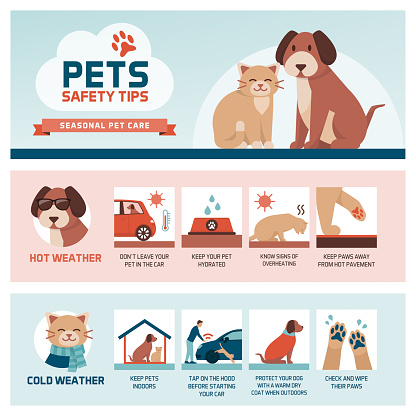 Seasonal pet safety tips infographic with icons: how to protect your pet from heat and cold in summer and winter