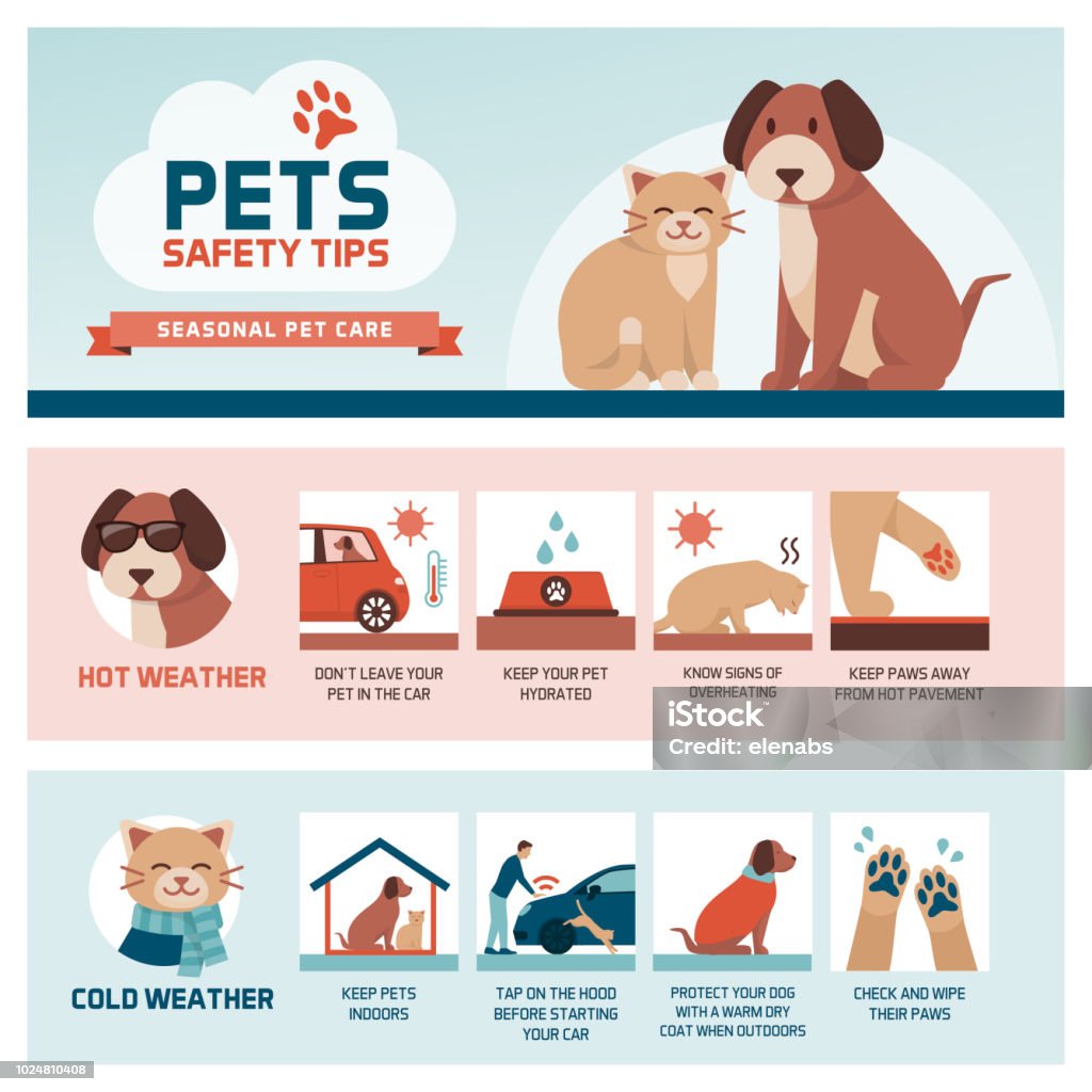 Seasonal pet safety tips Seasonal pet safety tips infographic with icons: how to protect your pet from heat and cold in summer and winter Dog stock vector