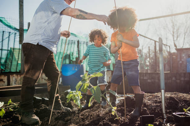 trabajando en el reparto con abuelo - school farm fotografías e imágenes de stock