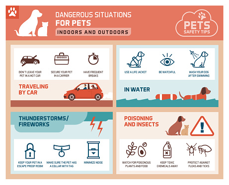 Pet safety tips infographic with icons: how to protect your pets from hazards