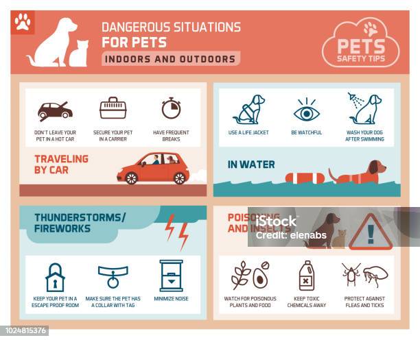 Animal Tips Pet Safety Tips Stock Illustration - Download Image Now - Dog, Safety ...