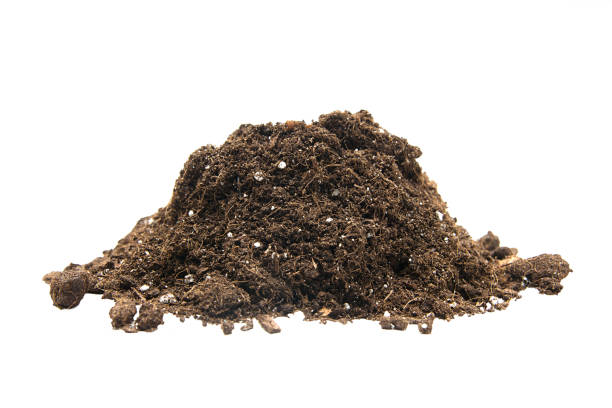 istock handful of ground on a white background 1024815752