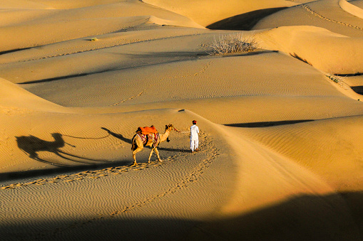 Group of tourists riding camels in Erg Chebbi in Morocco.