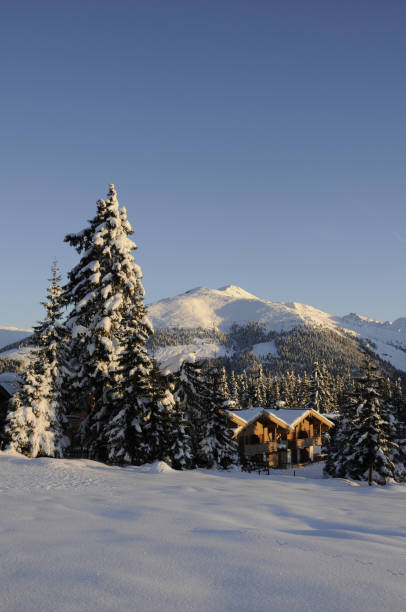 istock Winter in Hochkrimml, Austria 1024824832