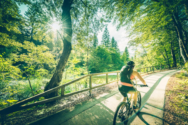 beautiful landscape of bicycle path in the forest with person in the background on a bike, beautiful spring path in sunny day outdoors. with fallen leaves