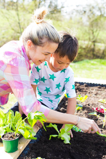 istock Mother And Son Gardening At Backyard 1024829894