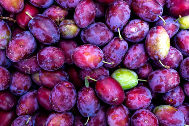 istock Background of fresh damson plums with stalks. 1024835428