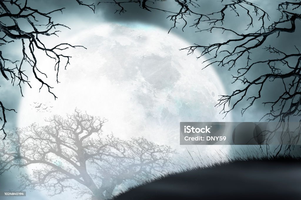 Large Moon Rises Over Small Hill Framed By Bare Trees A large full moon rises over a small grassy hill as it is framed by the bare branches of two trees. Halloween Stock Photo