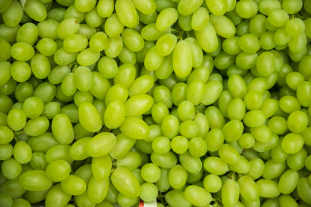 vino blanco uvas  - biot fotografías e imágenes de stock