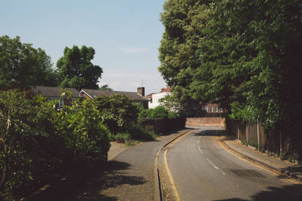 istock Empty Road Amidst Trees And Buildings Against Sky 1024848106