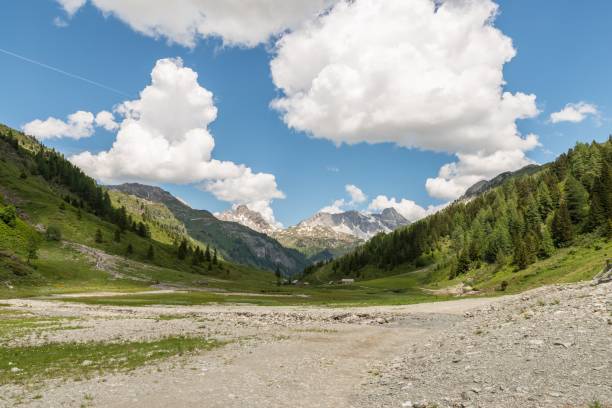 istock Riedingtal Zederhaus Nature Park with mountain views, Austria 1024848254