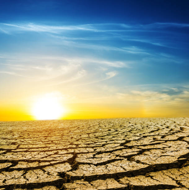 istock dry cracked land at the sunset 1024863282