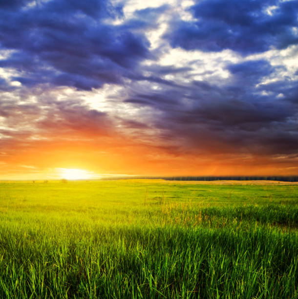 istock green rural field under a dense dark clouds at the sunset 1024863338