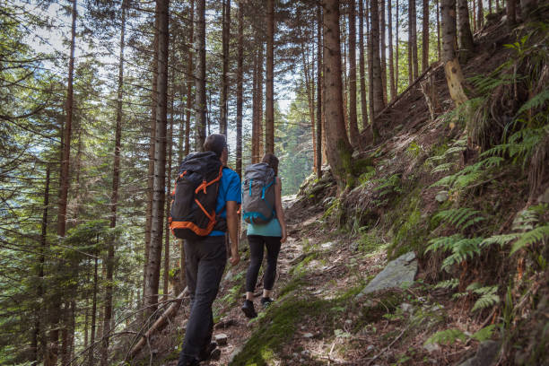 istock strong couple hiking in the mountains 1024870388
