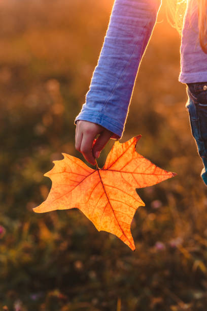 istock autumn leave in girl hand, selective focus 1024876310
